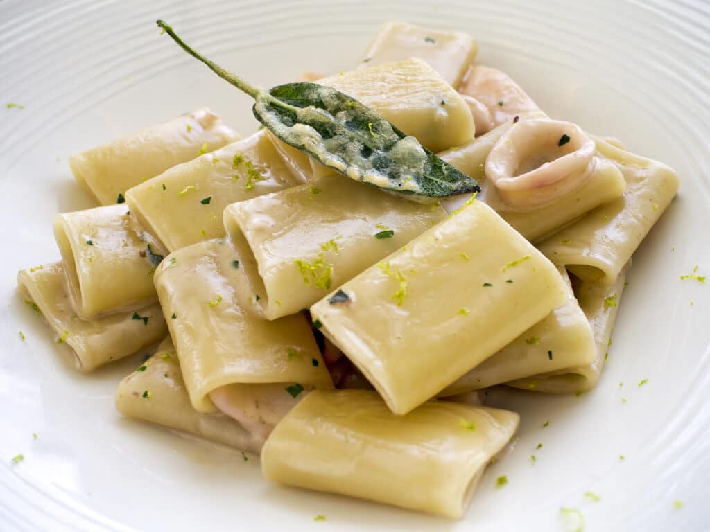 Paccheri pasta dish with squids and cream